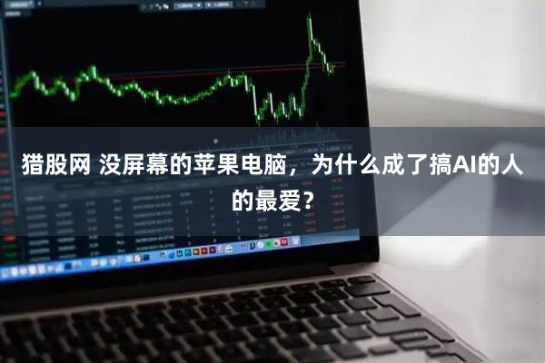 猎股网 没屏幕的苹果电脑，为什么成了搞AI的人的最爱？