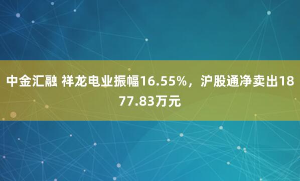 中金汇融 祥龙电业振幅16.55%，沪股通净卖出1877.83万元