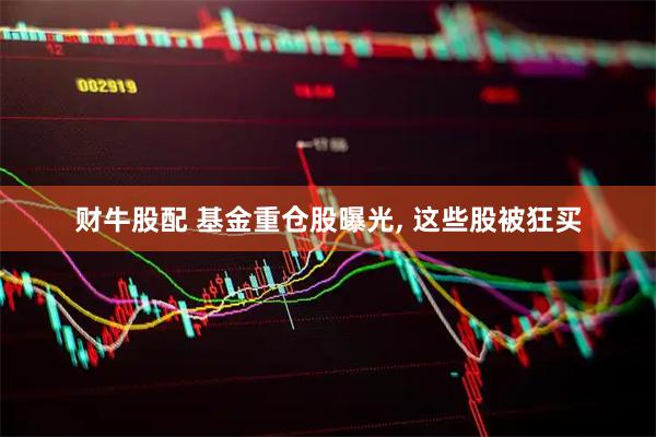 财牛股配 基金重仓股曝光, 这些股被狂买